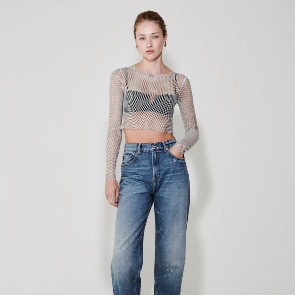 Zara Shimmer Mesh crop top NWT